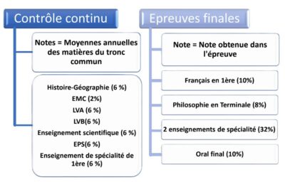 Les spécificités et enseignement de spécialités Mirecourt 2