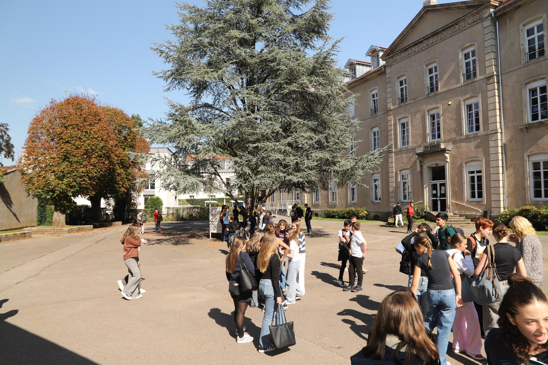 Collège Thaon-les-Vosges